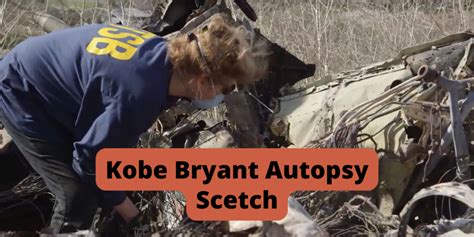 kobe bryant body sketch|Autopsies show Bryant, other passengers died。